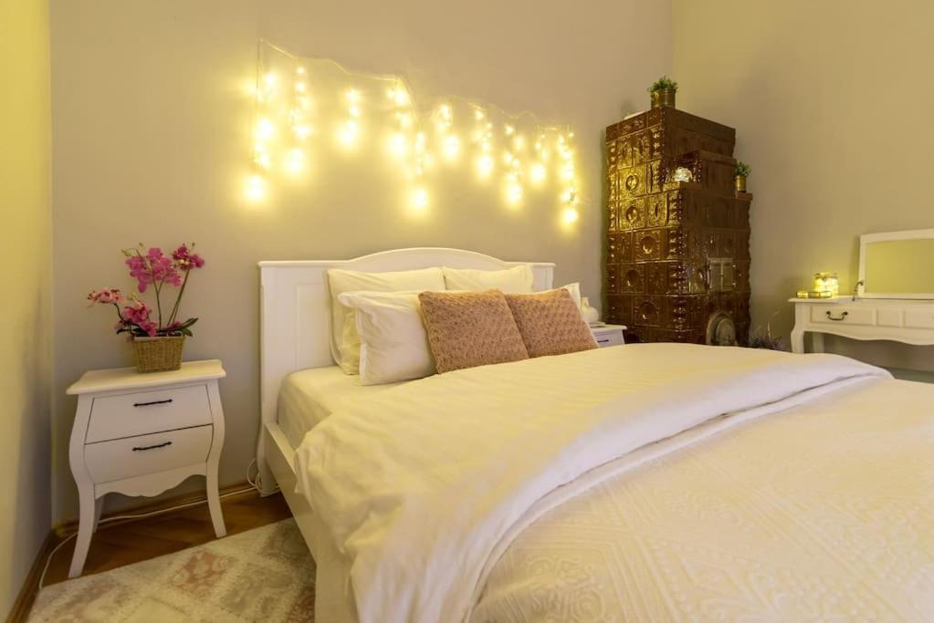 No.8: Lovely & Cosy 3-Room Heart Of The City Timişoara Exteriör bild