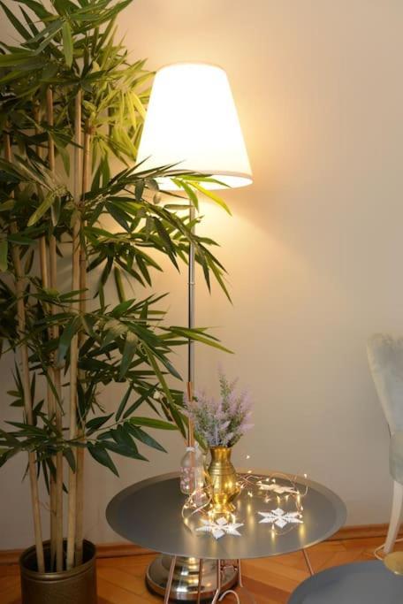 No.8: Lovely & Cosy 3-Room Heart Of The City Timişoara Exteriör bild